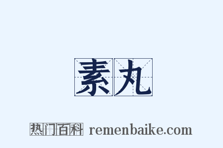 素丸是什么意思的图片